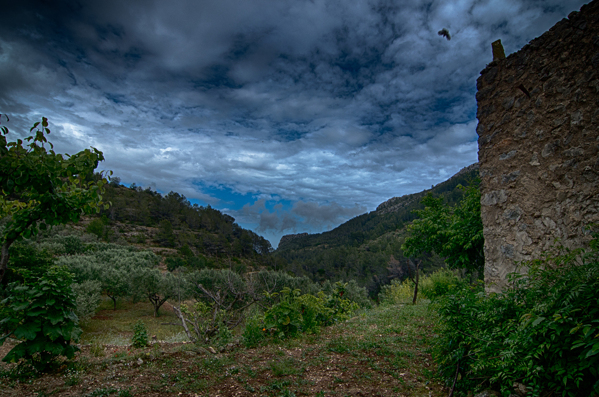 Pentax smc DA 12-24mm F4.0 ED AL (IF) sample photo. Serra de bèrnia photography