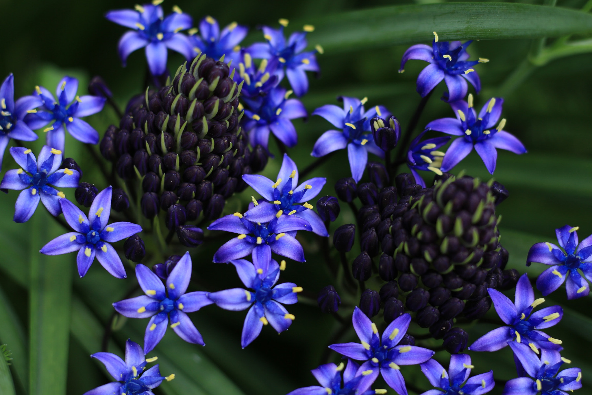 Canon EOS M + Canon EF 50mm F1.8 STM sample photo