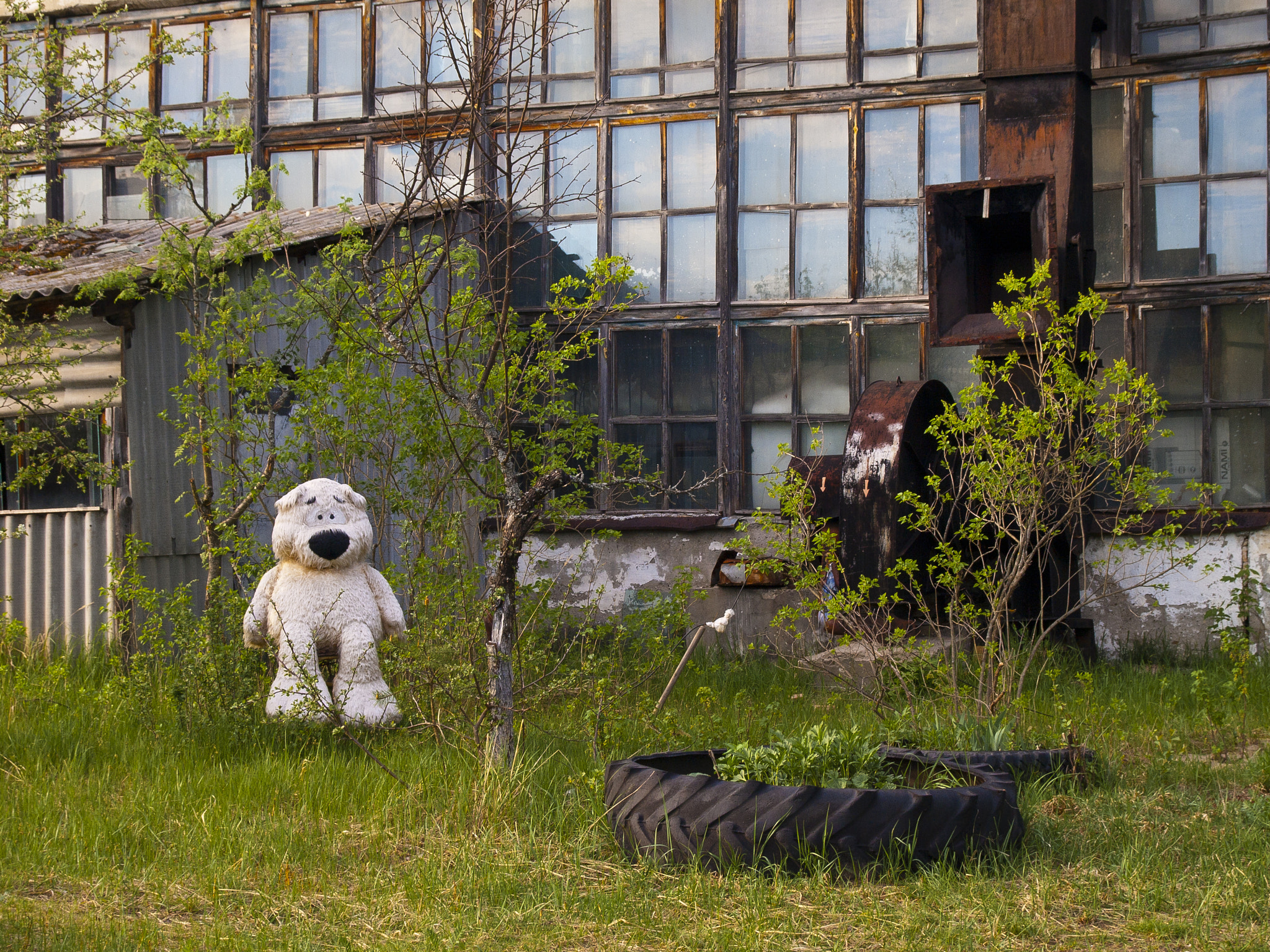 SIGMA 18-50mm F2.8 DC sample photo. Do you know everything about the loneliness? photography