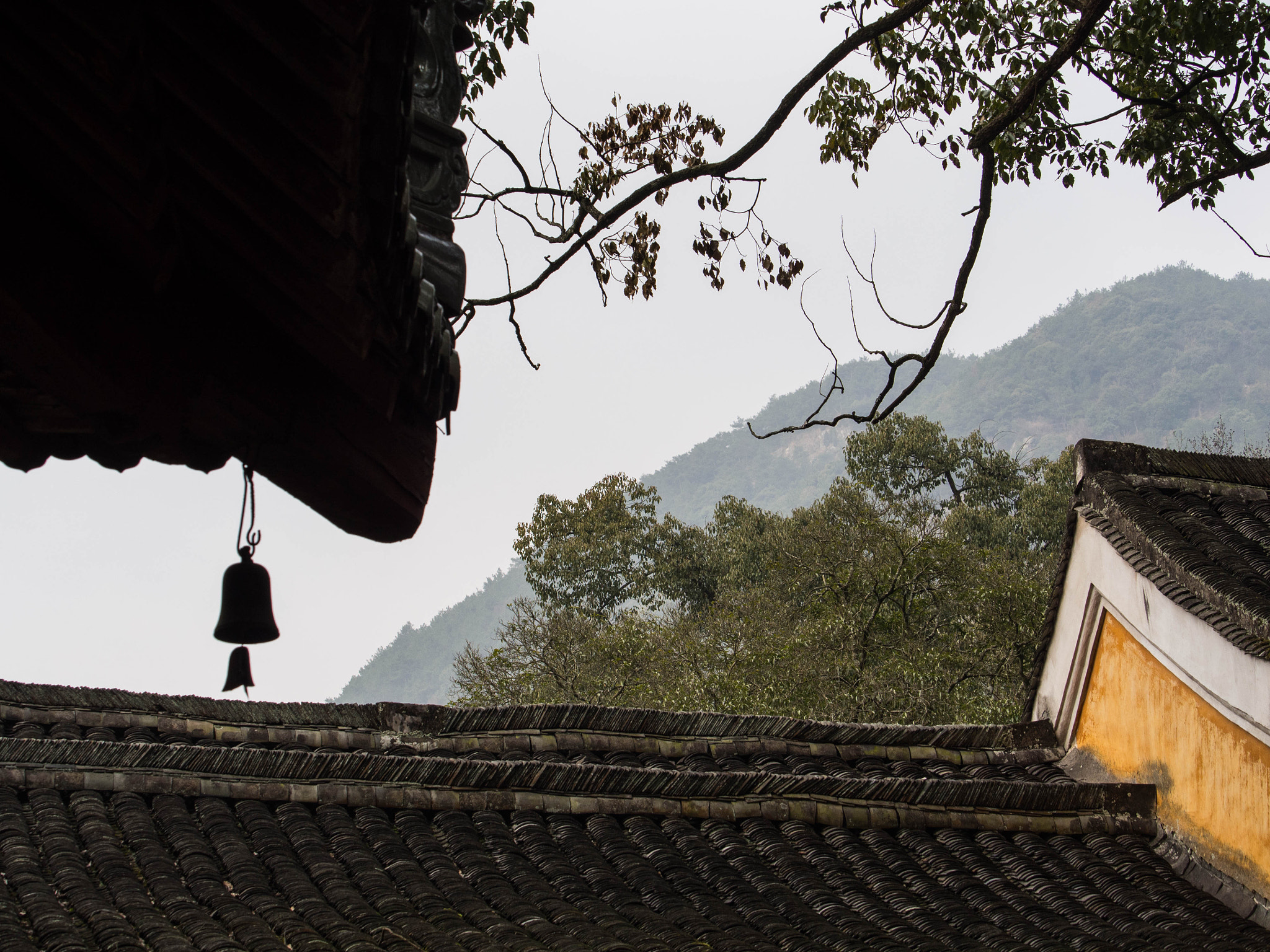 Olympus PEN E-P5 sample photo. Sound of nature photography