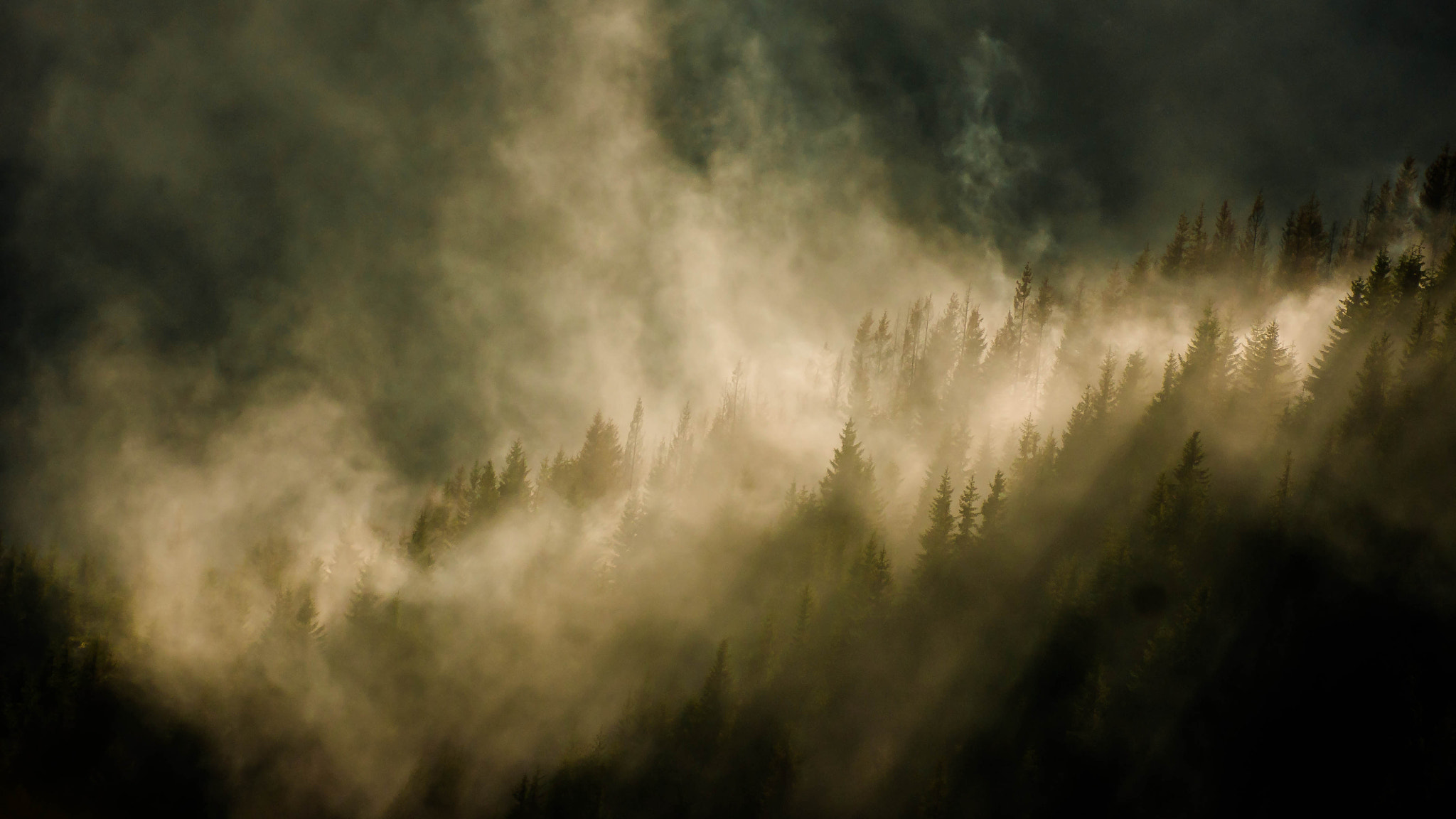 Minolta AF 100-400mm F4.5-6.7 APO sample photo. Burning forest photography