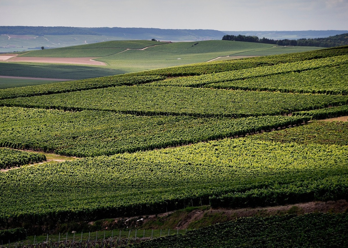 Nikon D700 + AF Nikkor 70-210mm f/4-5.6D sample photo. Champagne photography