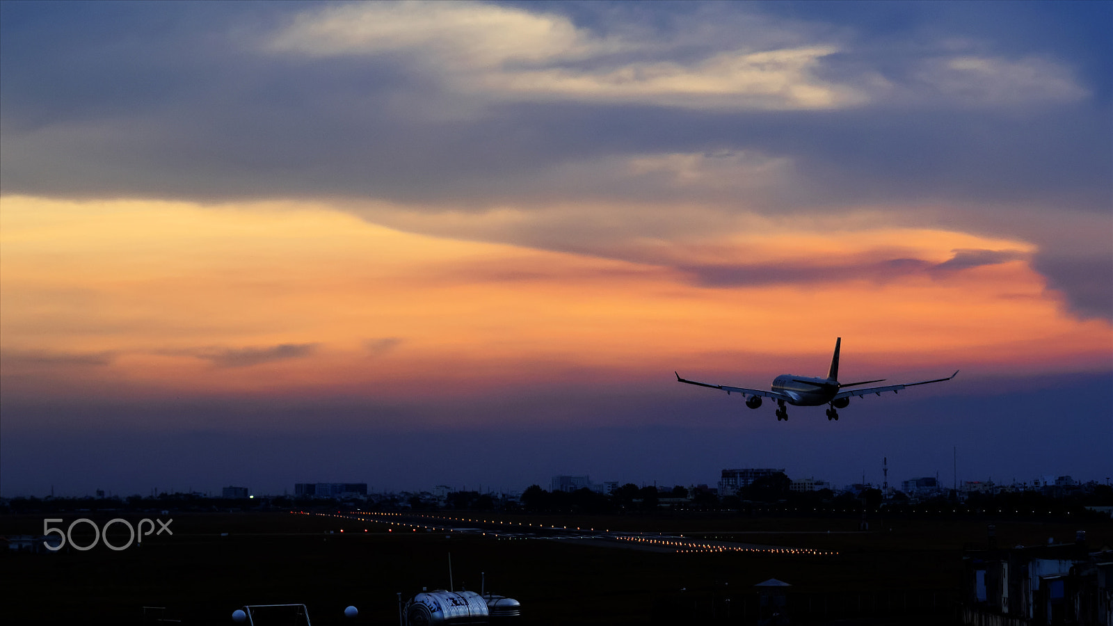 Olympus OM-D E-M1 sample photo. Flight in sunset photography