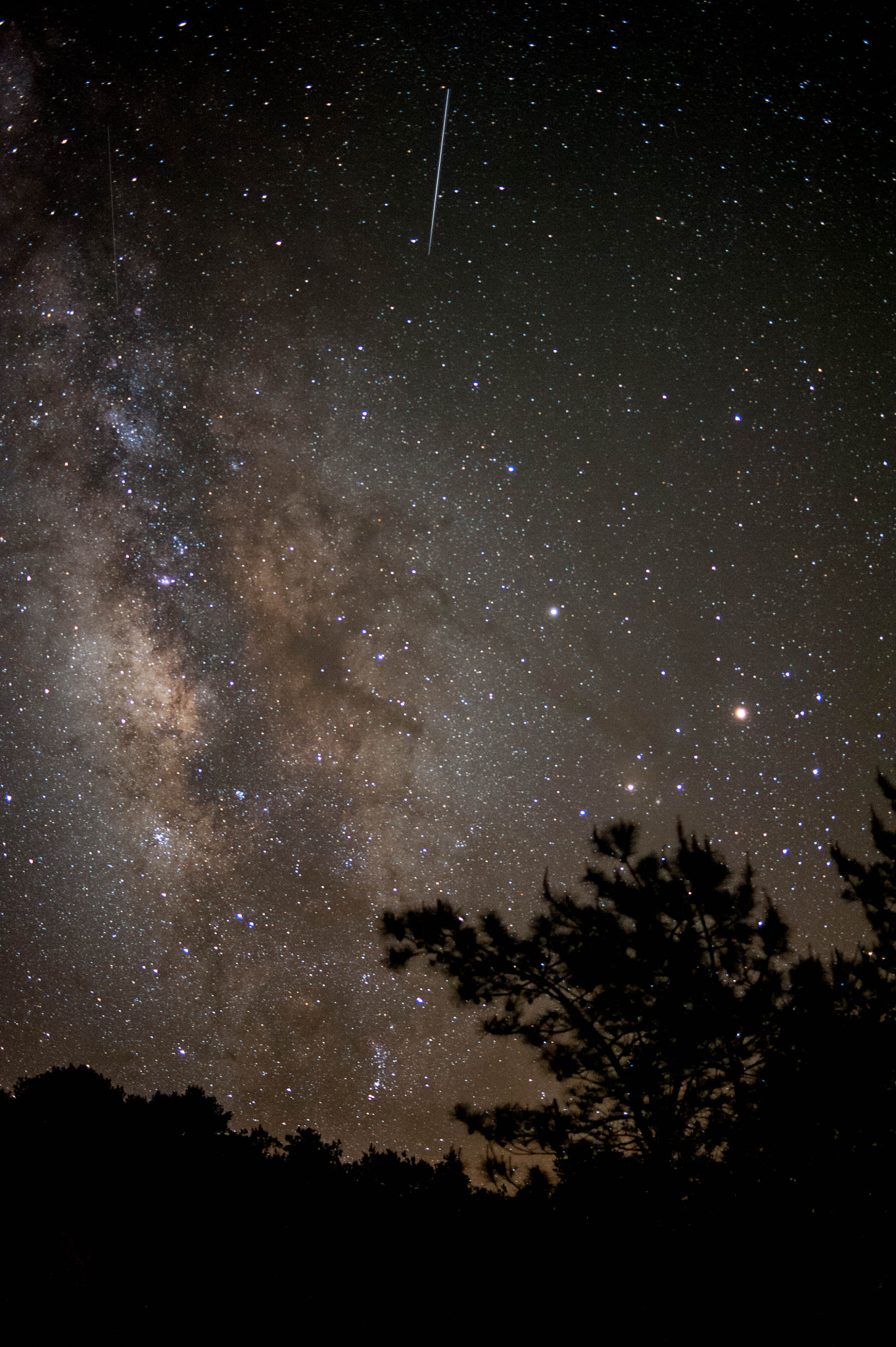 Nikon D700 + ZEISS Distagon T* 35mm F2 sample photo. The summer night with milkway and meteoroid photography