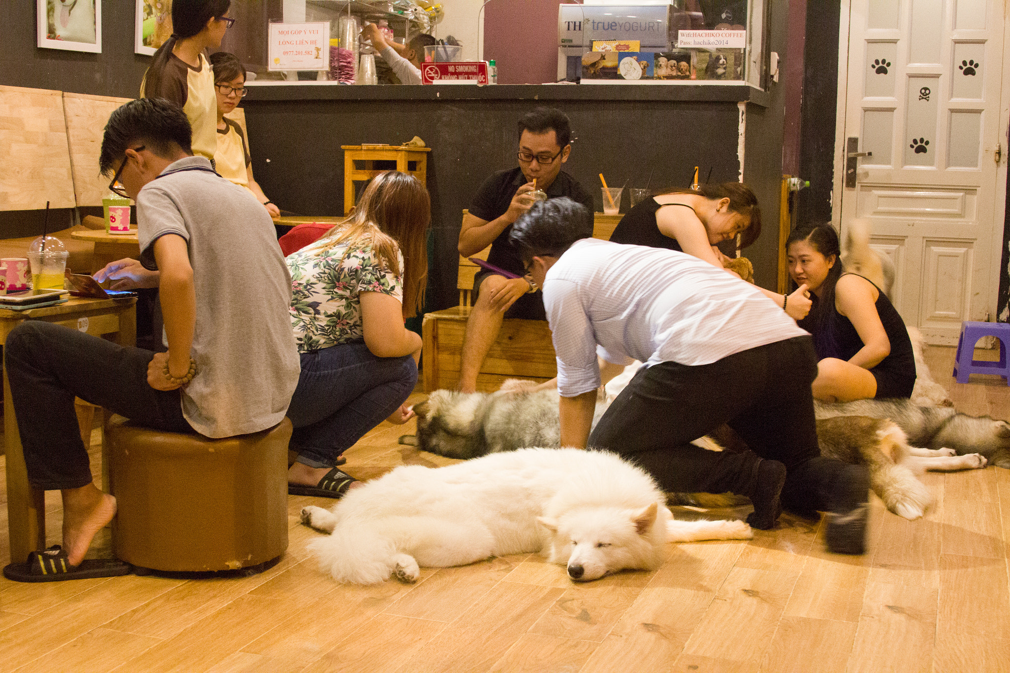 Canon EOS 600D (Rebel EOS T3i / EOS Kiss X5) sample photo. One night at dog coffee photography