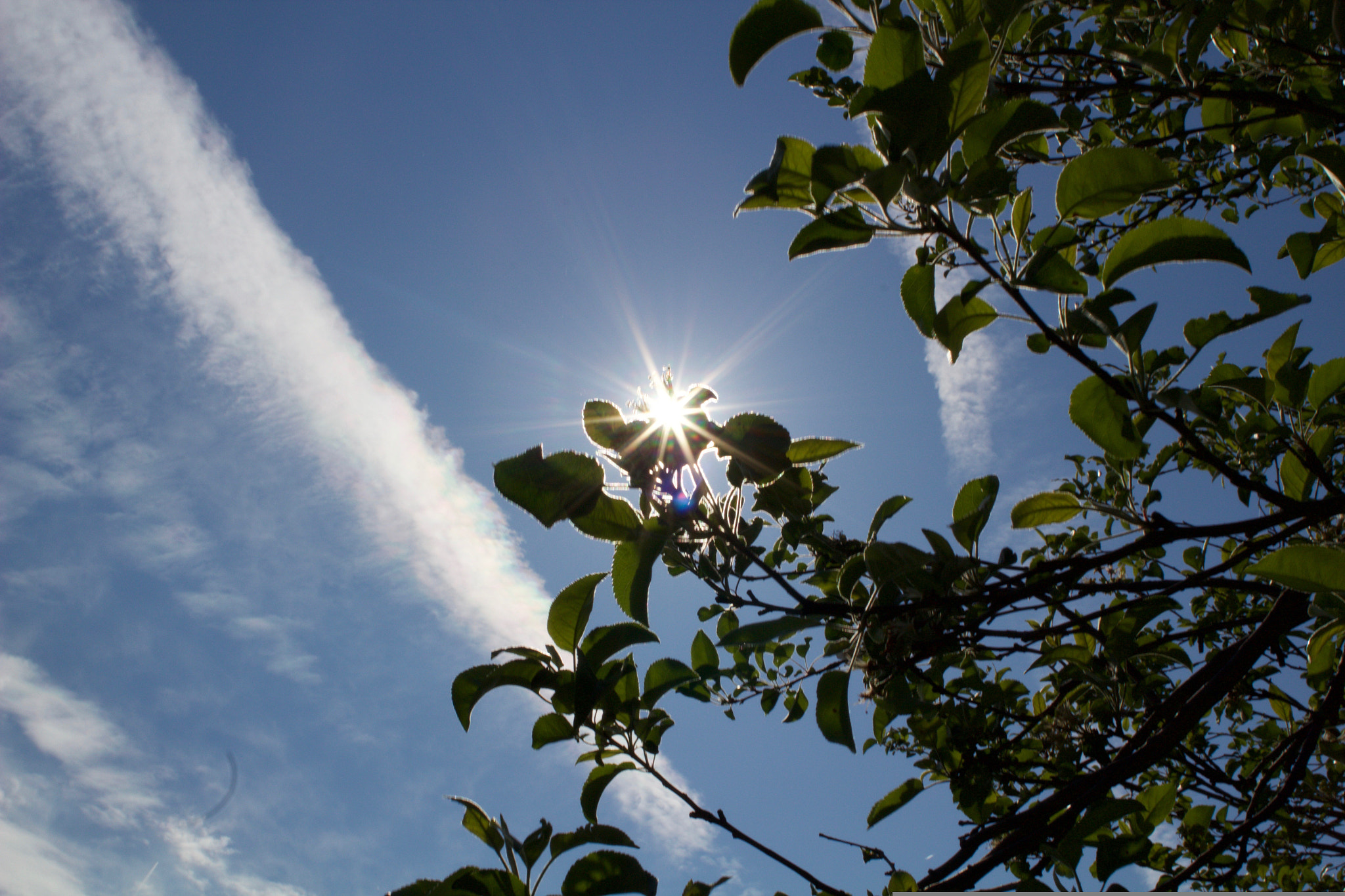 Canon EOS 1200D (EOS Rebel T5 / EOS Kiss X70 / EOS Hi) + Canon EF 28mm F2.8 sample photo. Sun flare photography