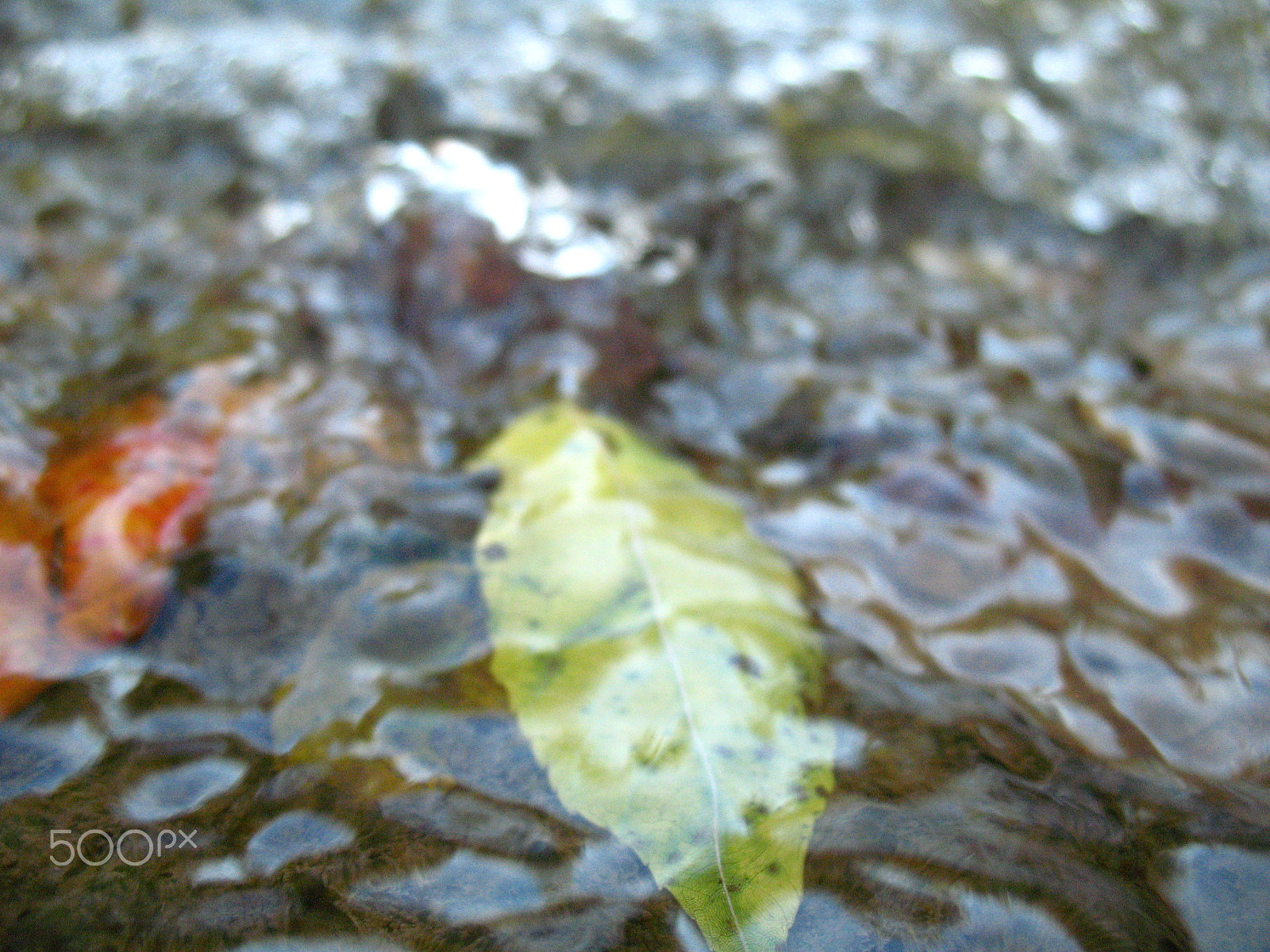 Canon POWERSHOT A640 sample photo. 272665272.jpeg photography