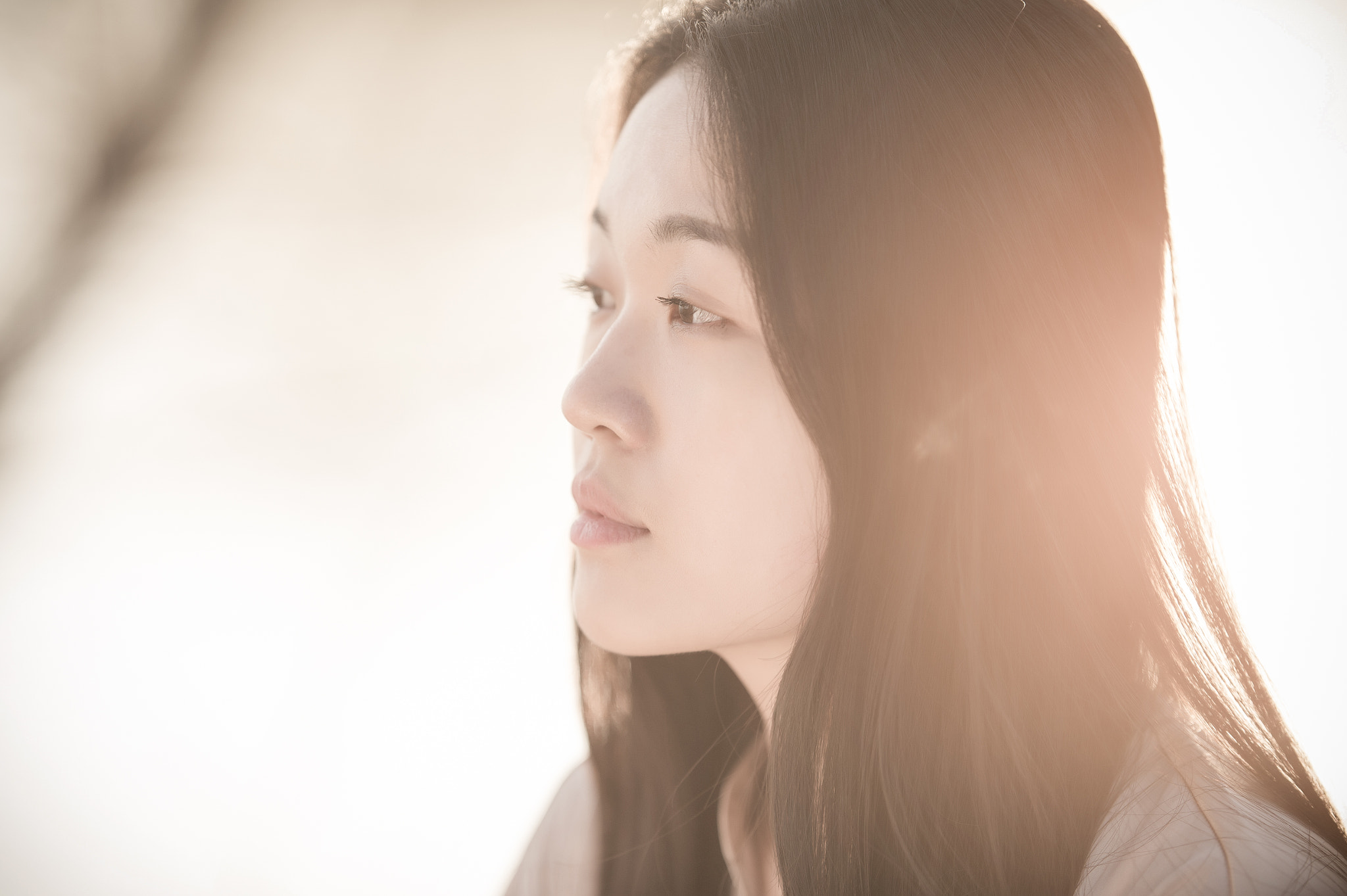 Nikon AF-S Nikkor 200mm F2G ED VR II sample photo. Y.l photography