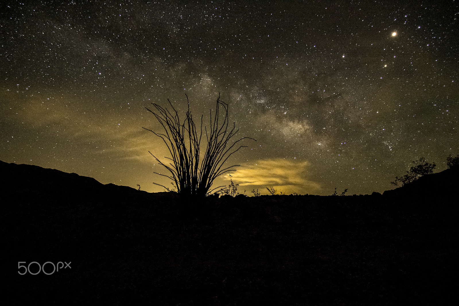 Canon EOS 1200D (EOS Rebel T5 / EOS Kiss X70 / EOS Hi) sample photo. Milky way over desert ocotillo photography
