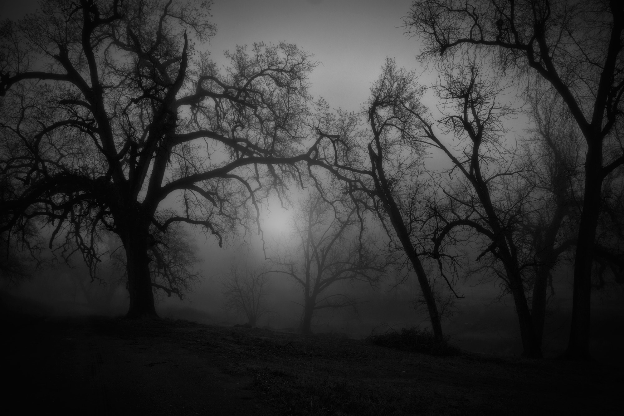 Sony SLT-A77 + Tamron AF 18-250mm F3.5-6.3 Di II LD Aspherical (IF) Macro sample photo. Black&white foggy sunrise photography