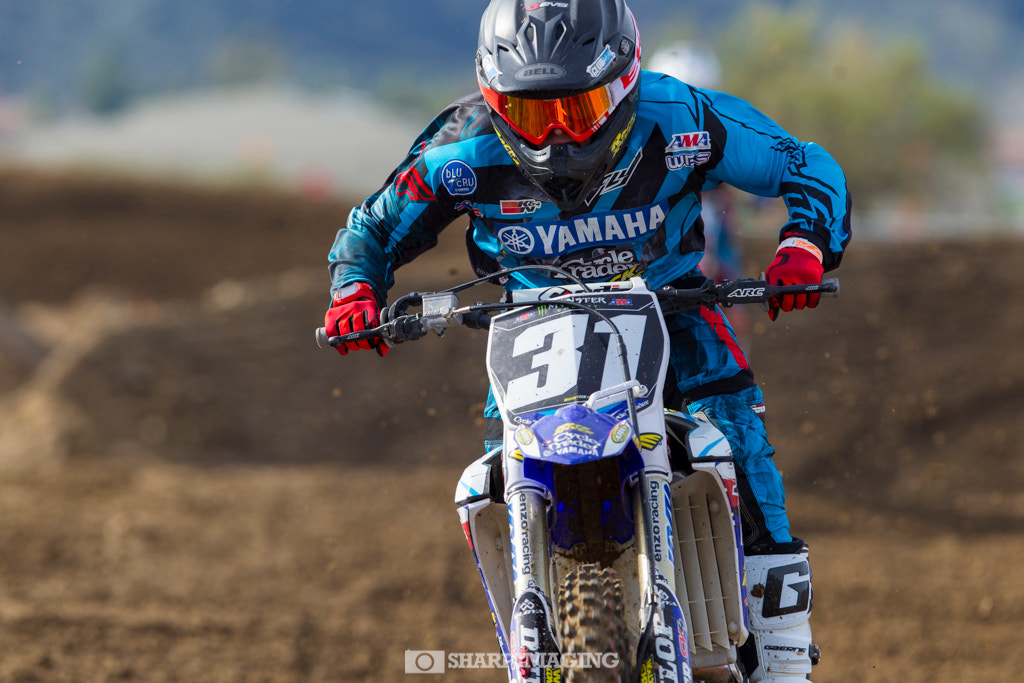 Canon EF 300mm F2.8L IS USM sample photo. Lake elsinore mx | ca photography