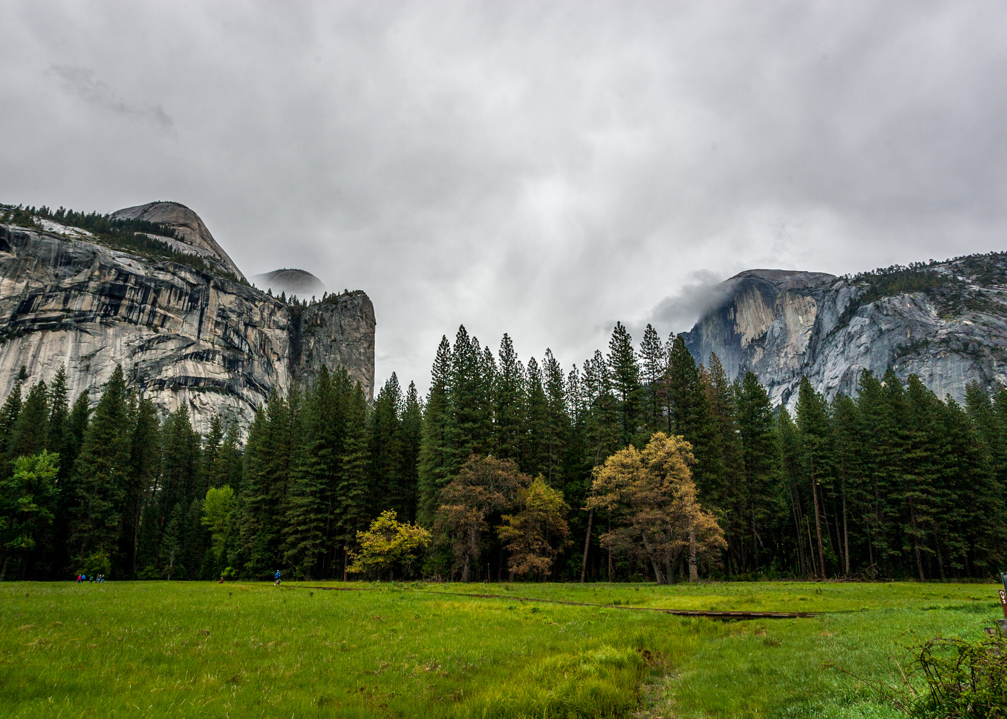 Canon EOS-1D Mark II sample photo. Yosemite photography