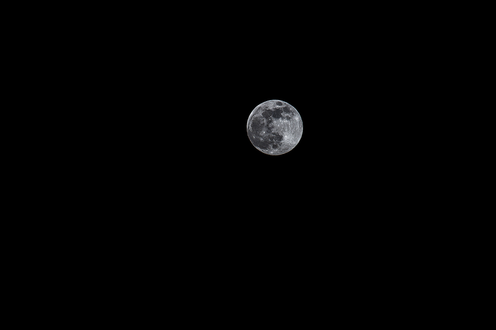 Sigma 70-300mm F4-5.6 APO DG Macro sample photo