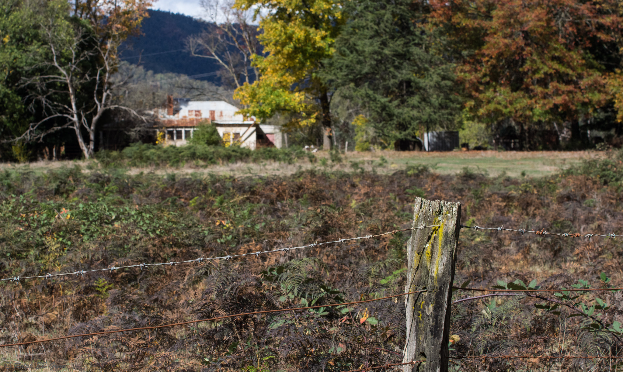 Pentax K-3 sample photo. The edge of the property photography