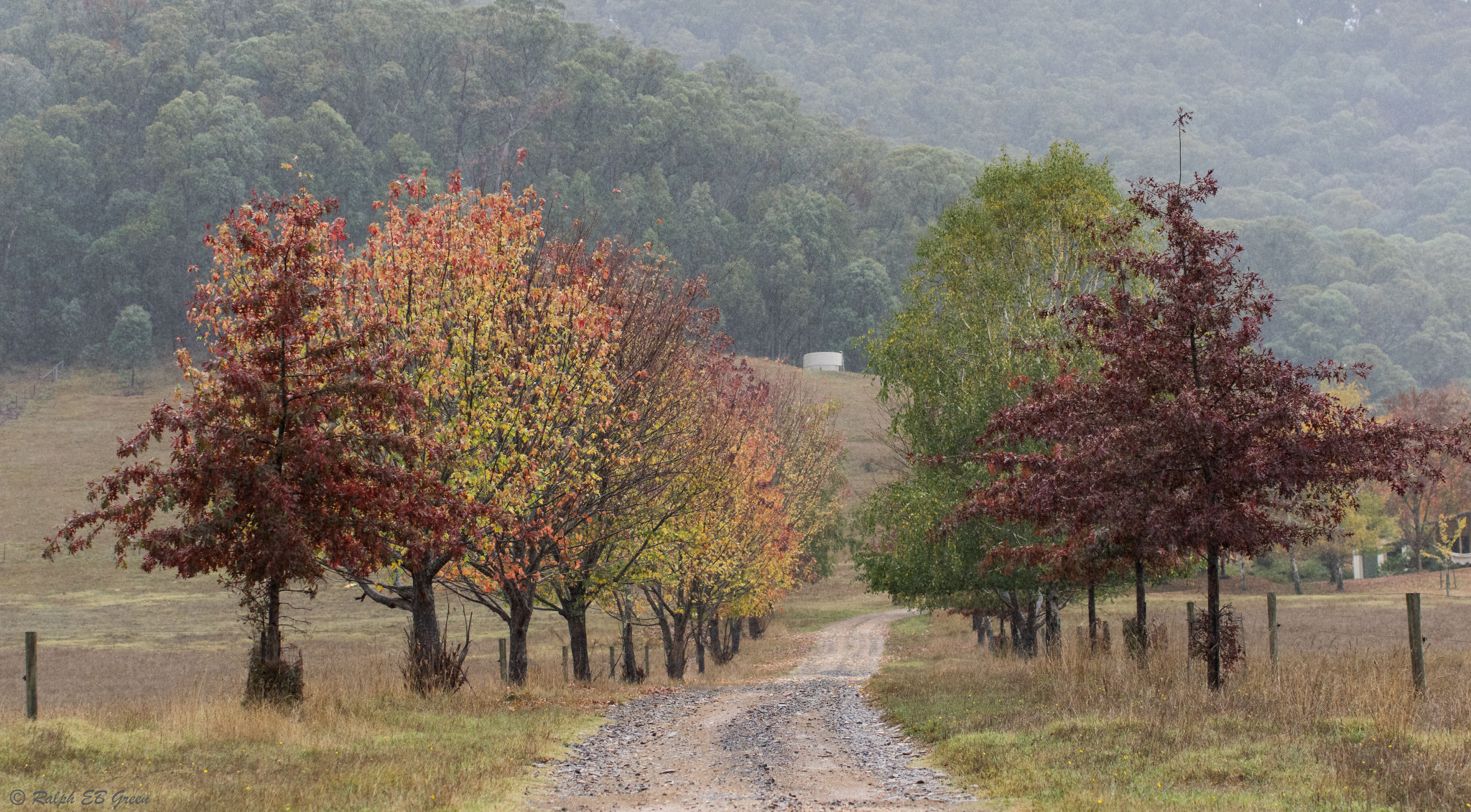 Pentax K-3 sample photo. A colourful driveway photography