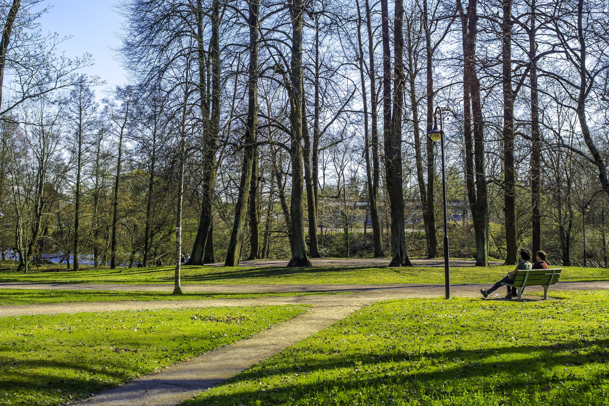 AF Zoom-Nikkor 28-85mm f/3.5-4.5 sample photo. Hdr in the park. photography