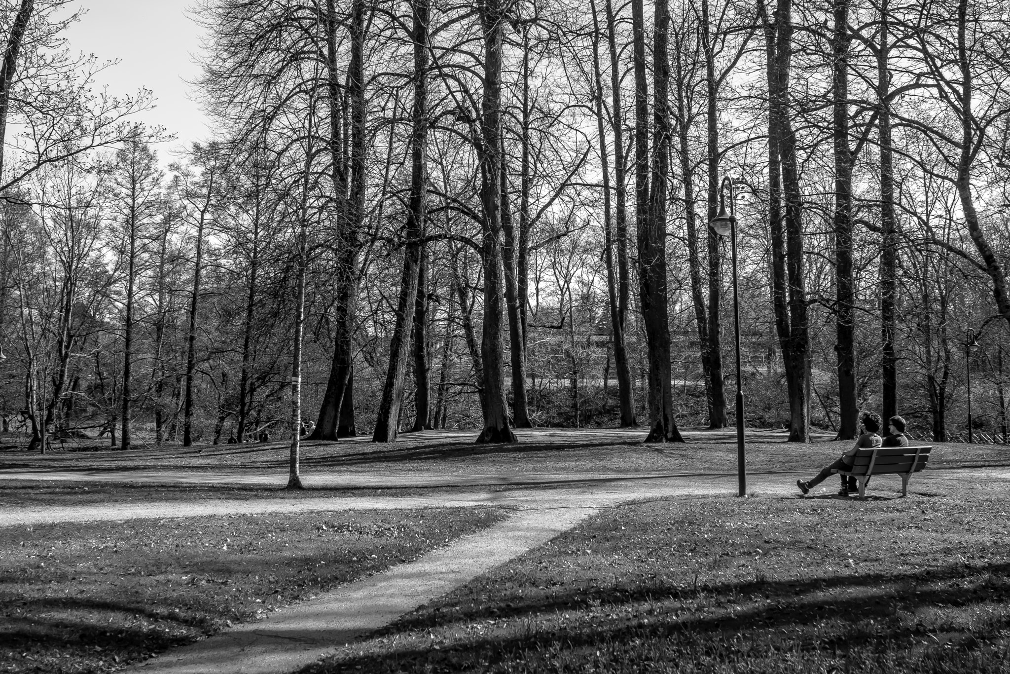 AF Zoom-Nikkor 28-85mm f/3.5-4.5 sample photo. Hdr in the park (b&w). photography