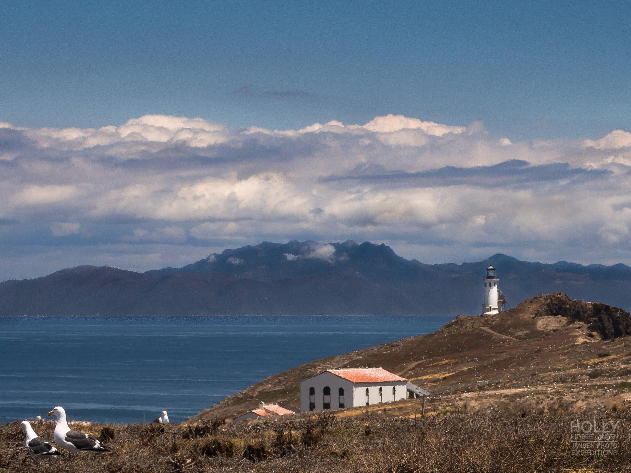 Olympus OM-D E-M5 sample photo. Anacapa light view photography