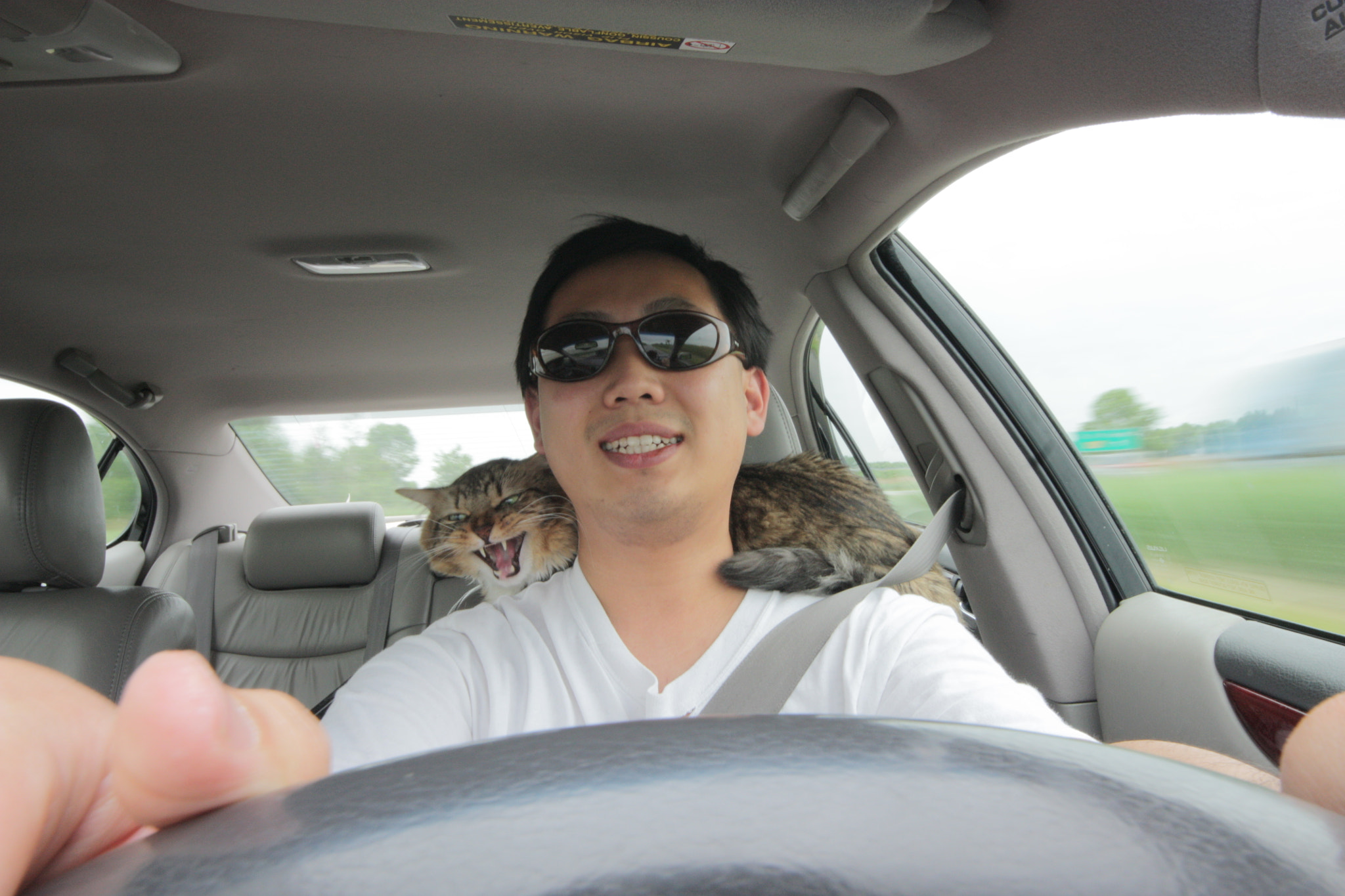 Canon EOS 450D (EOS Rebel XSi / EOS Kiss X2) sample photo. Long trip with my boss photography