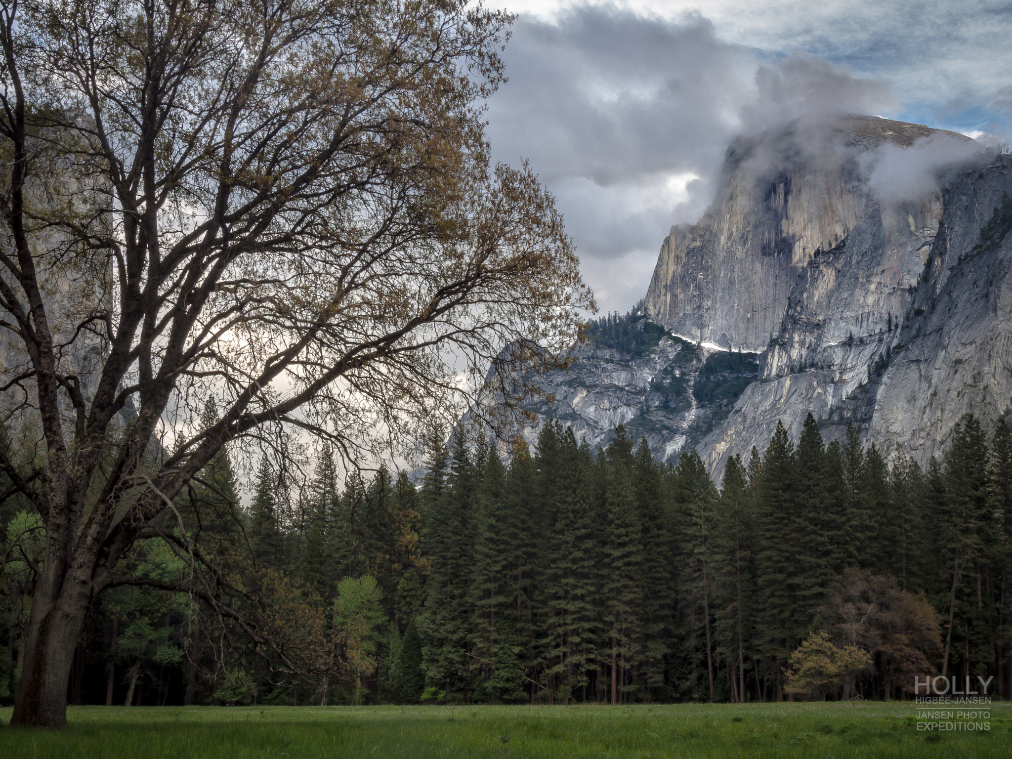 OLYMPUS 11-22mm Lens sample photo. Half dome sunset photography