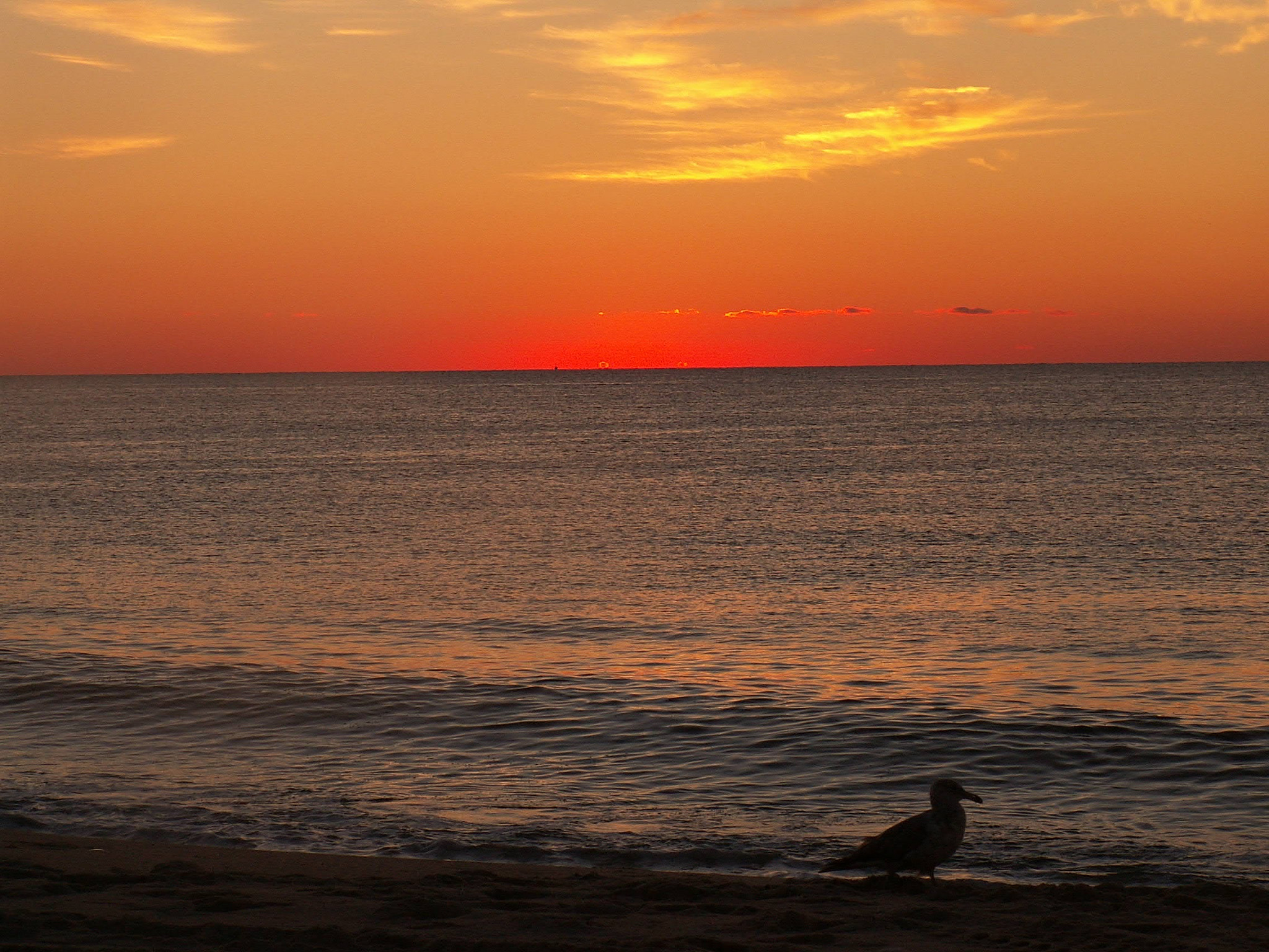 KONICA MINOLTA DiMAGE Z3 sample photo. Sunrise at the beach photography