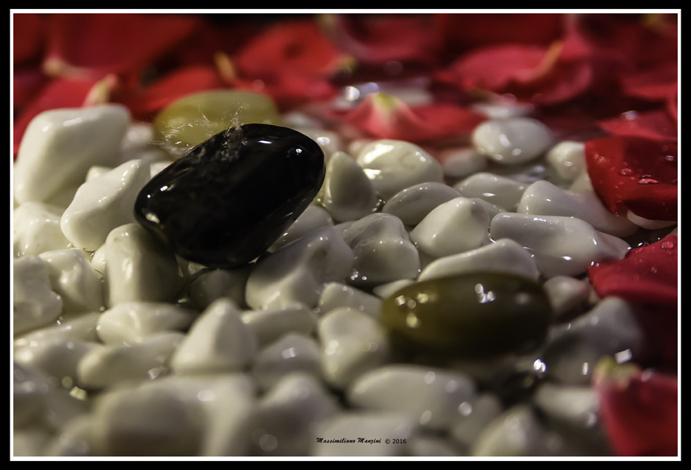 Sony Alpha DSLR-A850 + Sony 28-75mm F2.8 SAM sample photo. Untitled photography