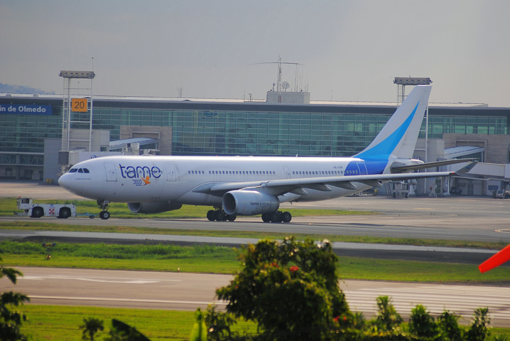 Sigma 70-300mm F4-5.6 APO Macro Super II sample photo. Tame a330 photography