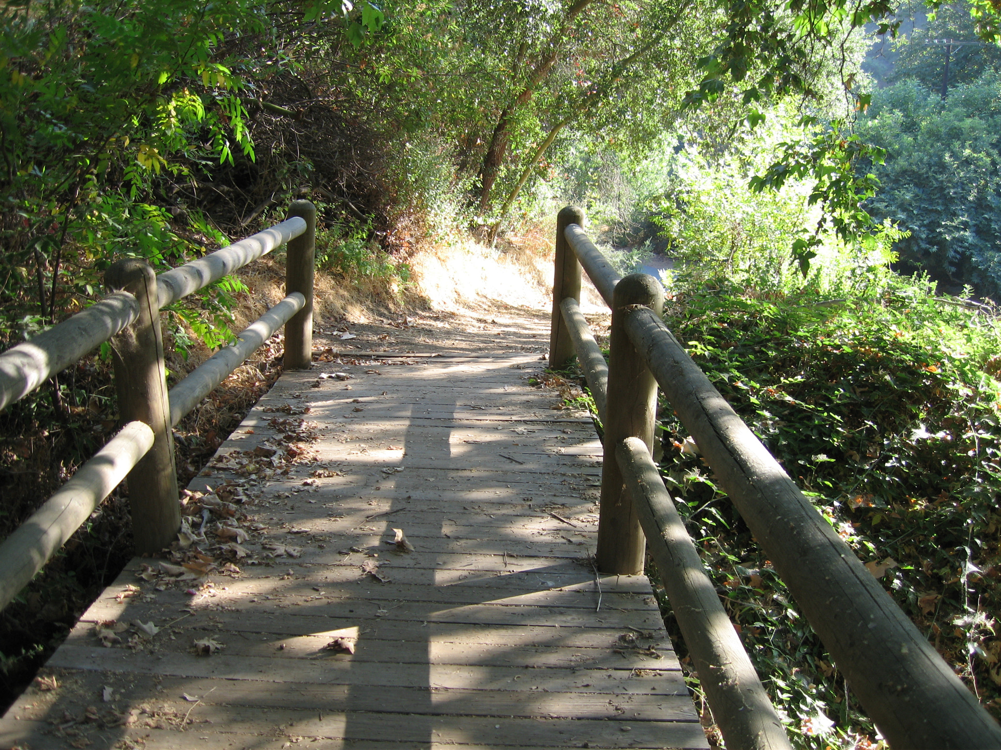 Canon POWERSHOT SD500 sample photo. Urban wilderness bridge photography