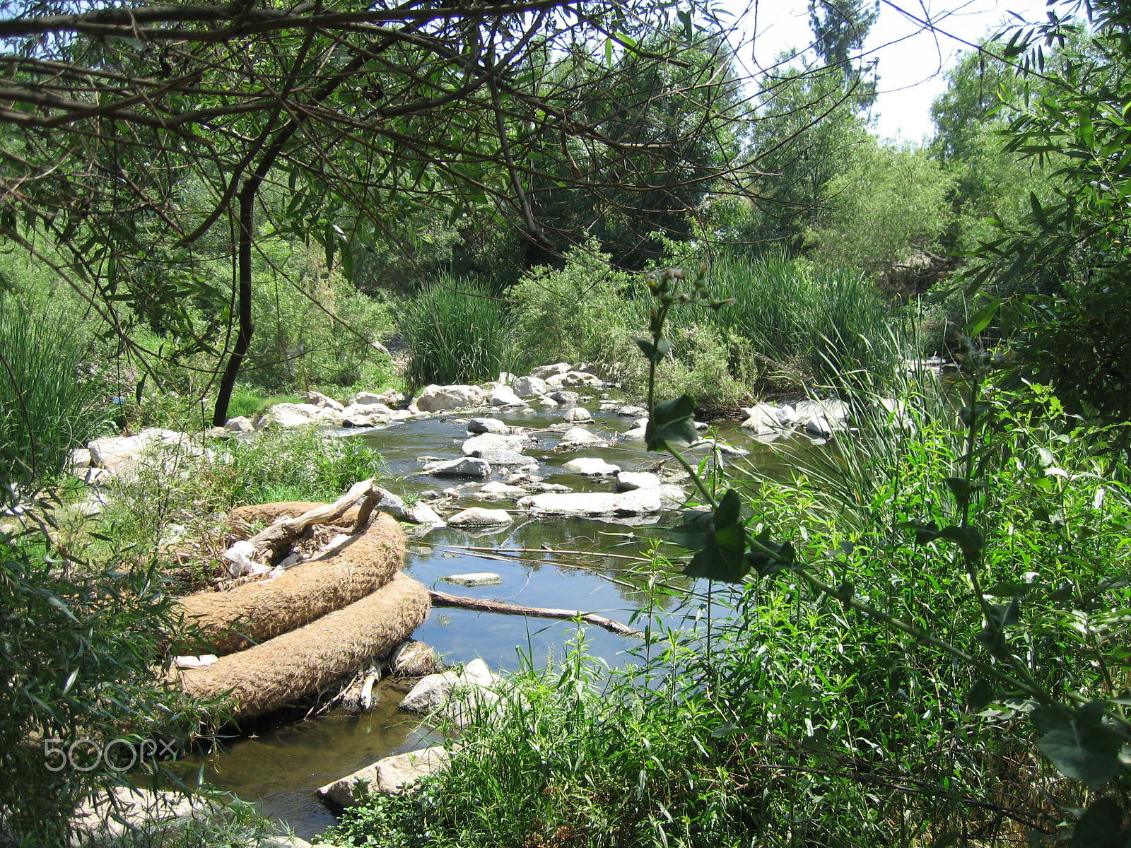 Canon POWERSHOT SD500 sample photo. La river at lake balboa photography