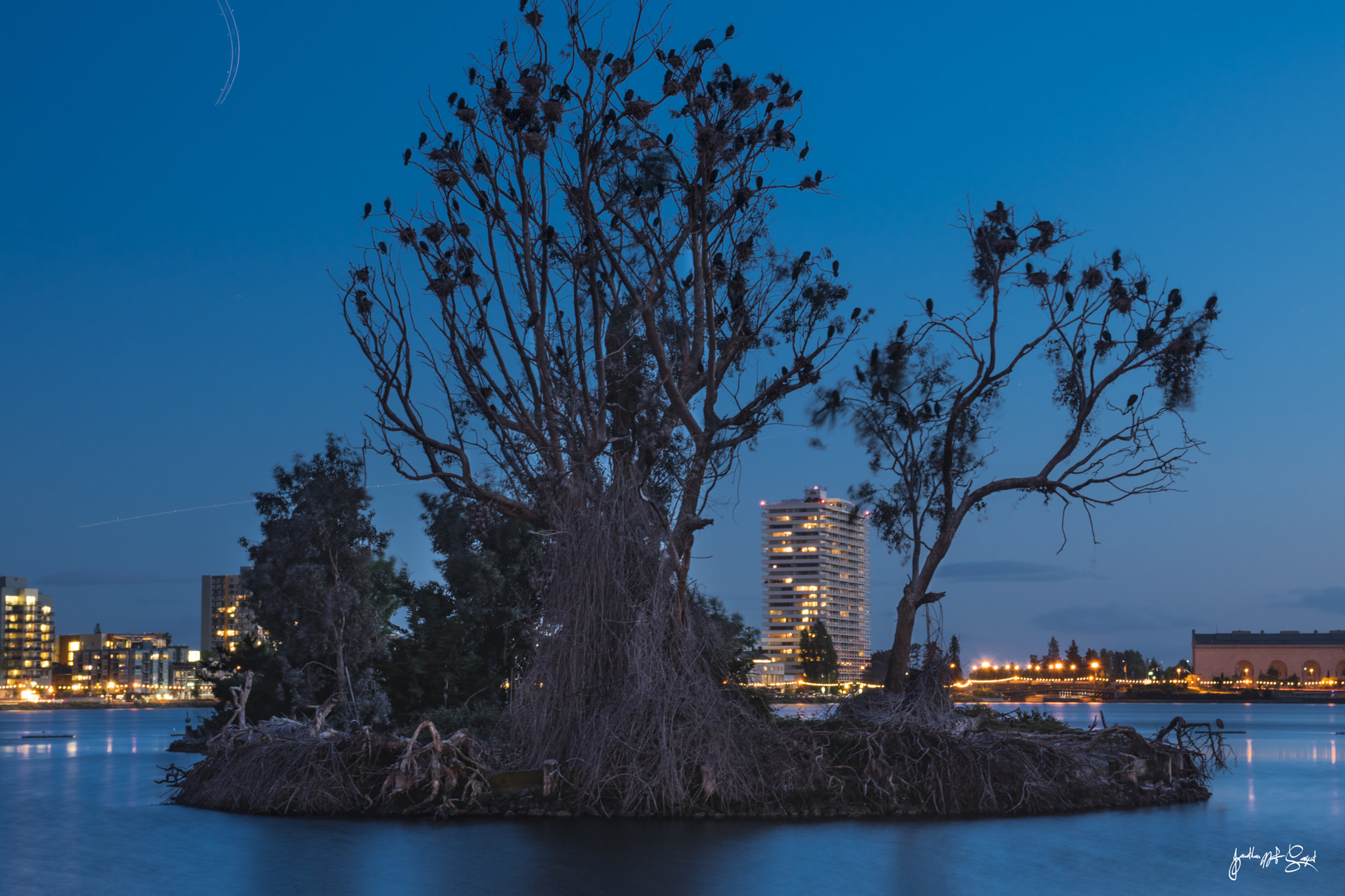 Nikon D5500 + Sigma 17-70mm F2.8-4 DC Macro OS HSM | C sample photo. Lake merrit photography