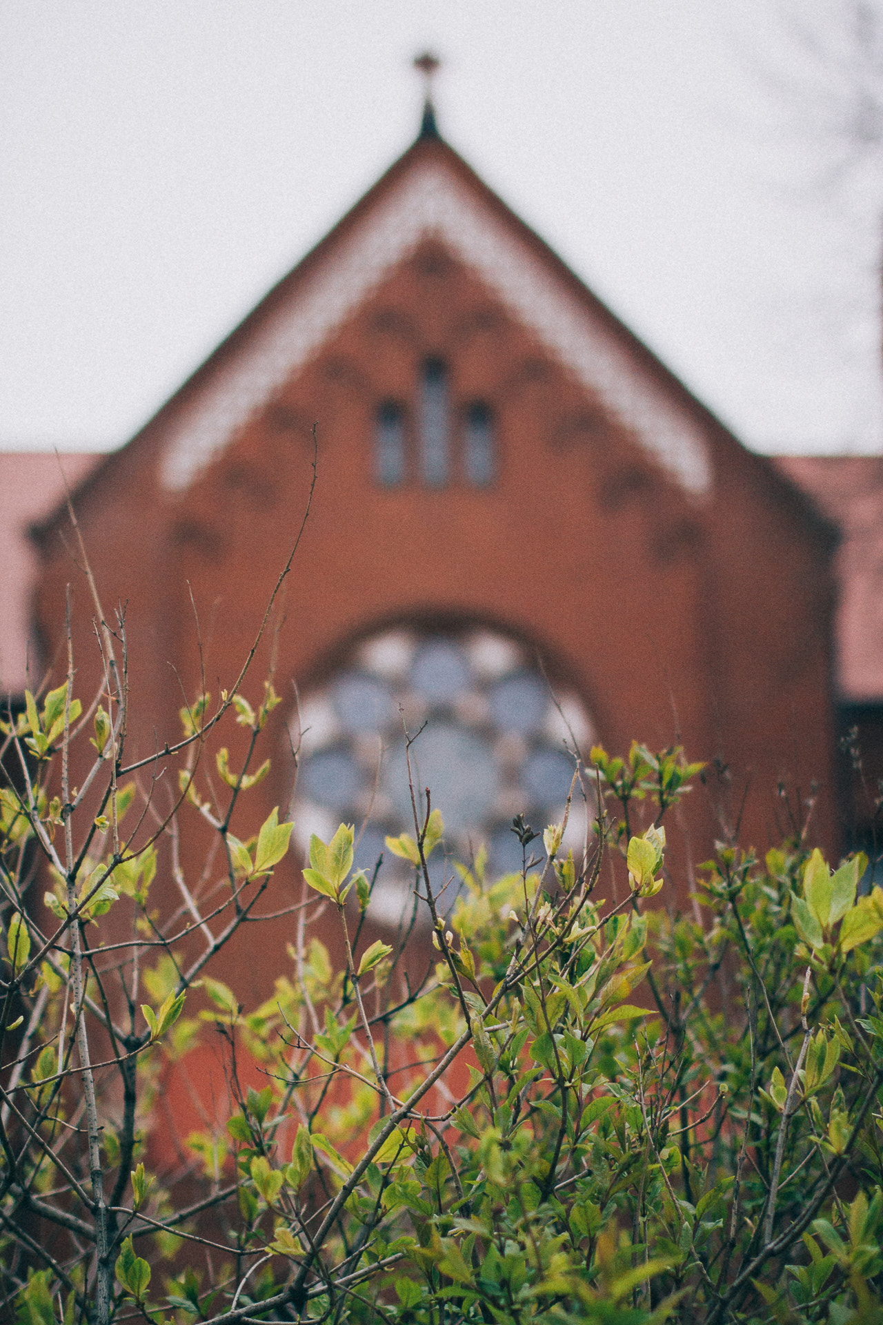 Sigma 50mm F1.4 EX DG HSM sample photo. Faith photography