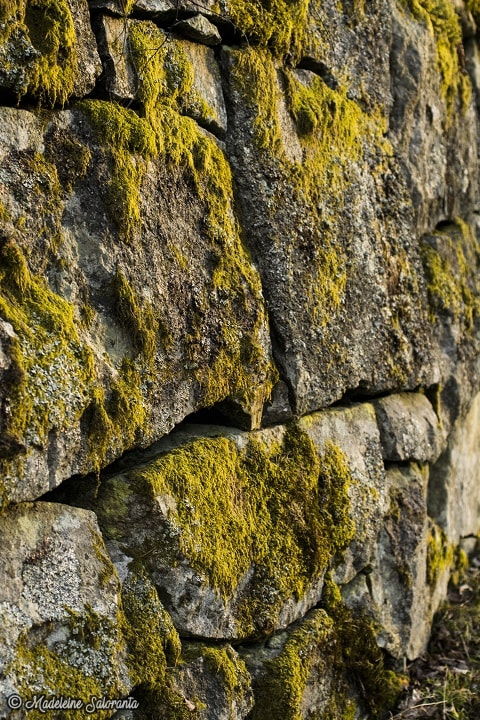 Nikon D7100 + Sigma 50mm F2.8 EX DG Macro sample photo. Stones photography