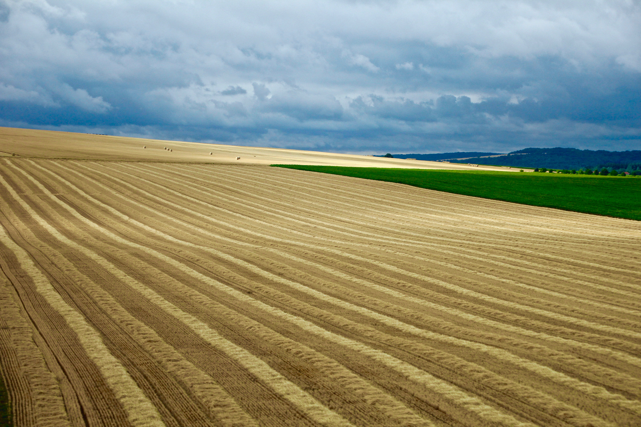 Sigma 17-70mm F2.8-4 DC Macro OS HSM sample photo. Dry fields photography