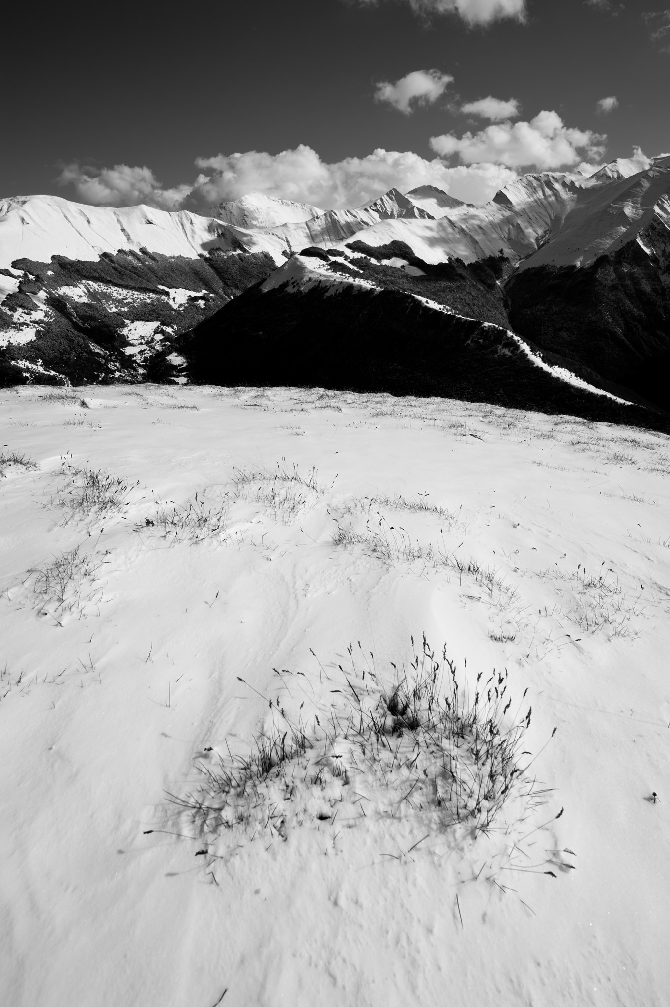 Nikon D700 + Nikon AF-S Nikkor 20mm F1.8G ED sample photo. Ultima neve photography