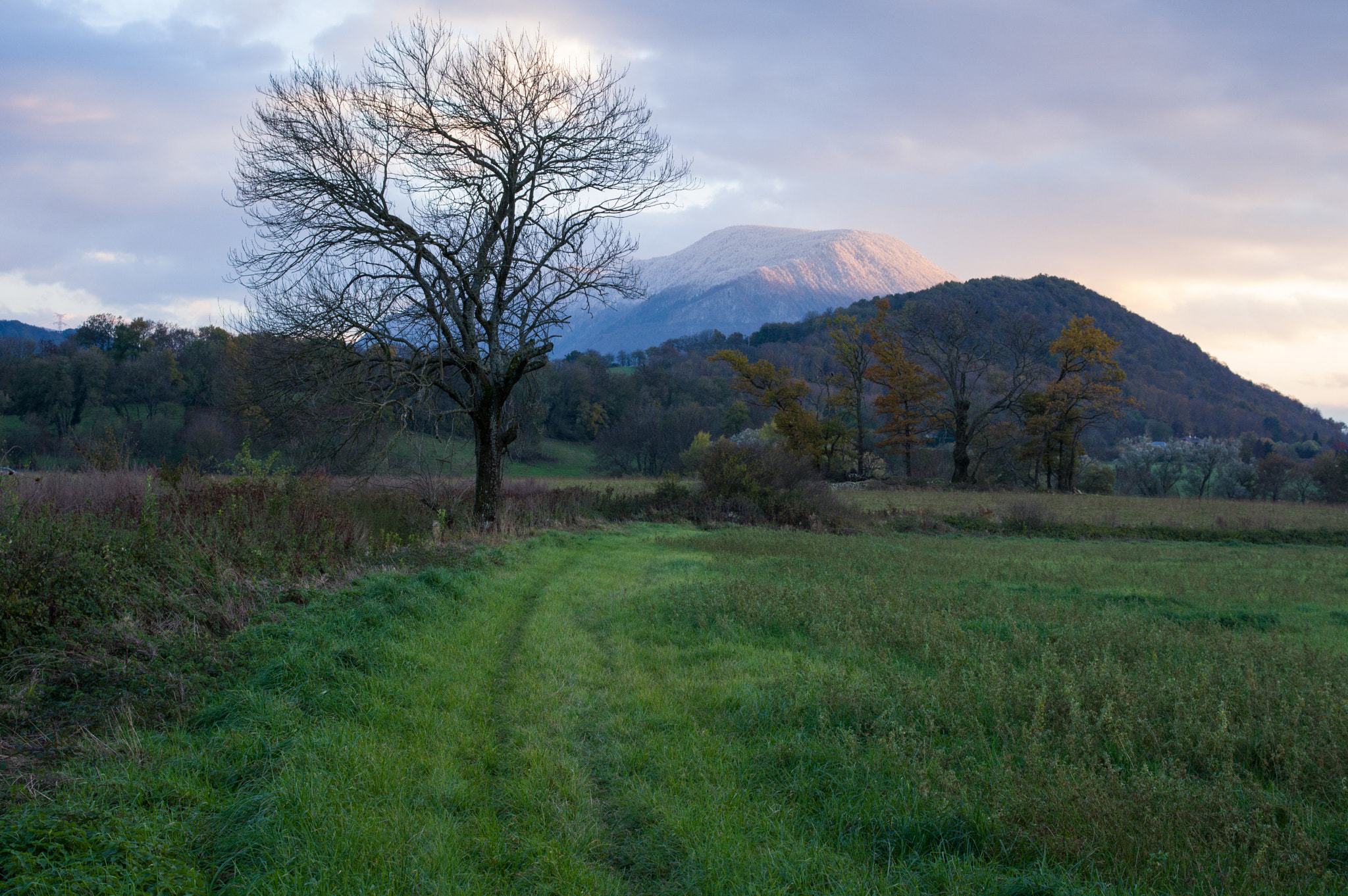 Pentax K-3 sample photo.  ambiance photography