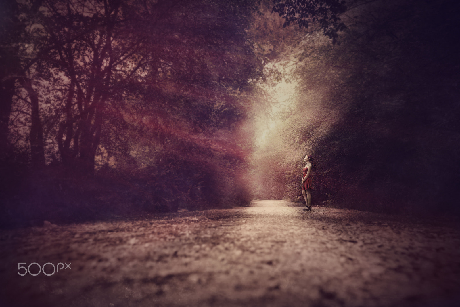 Canon 50mm F1.4 DG HSM | Art 014 sample photo. Alessia in the woods photography