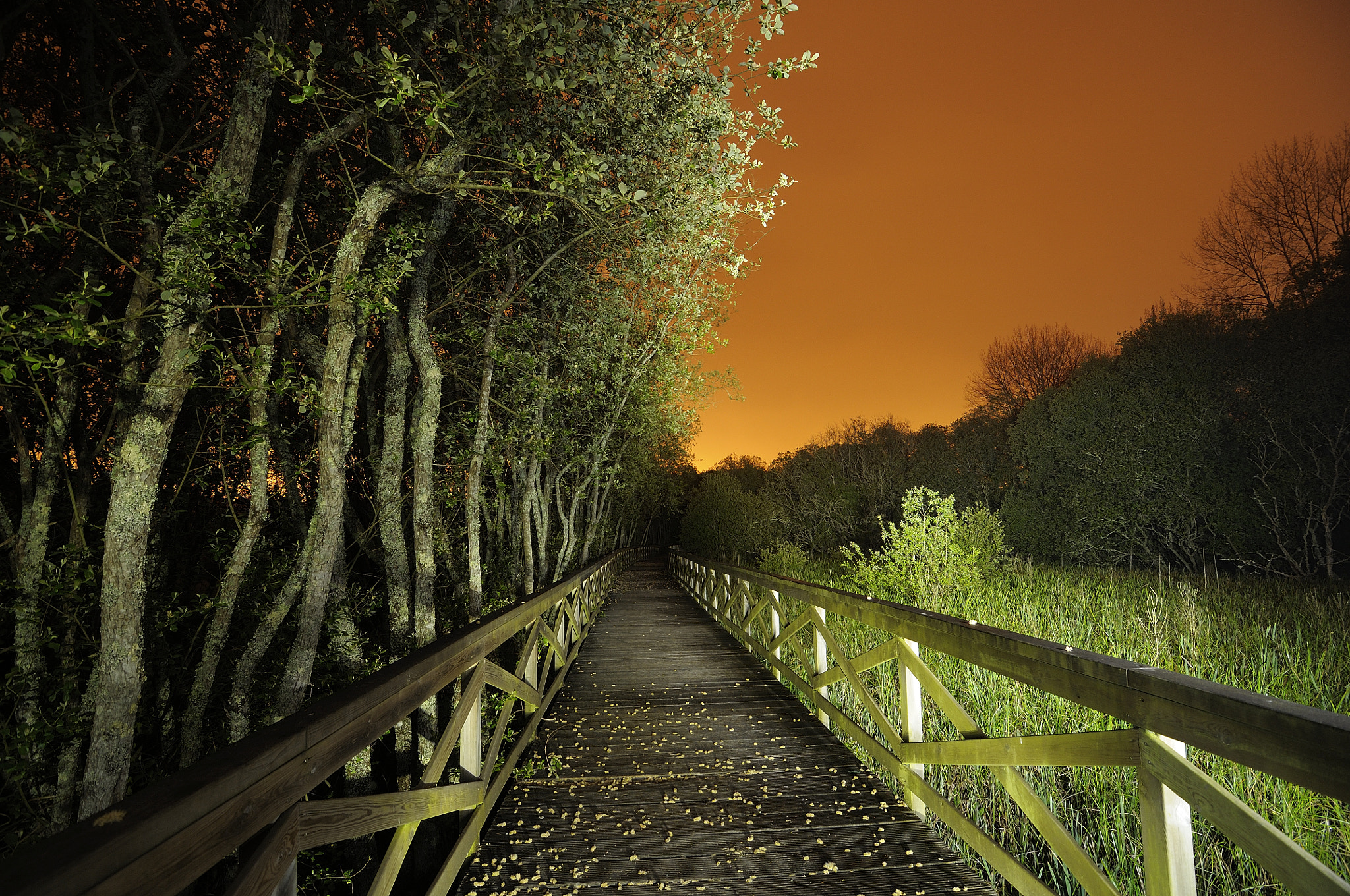 Nikon D300S sample photo. A xunqueira photography