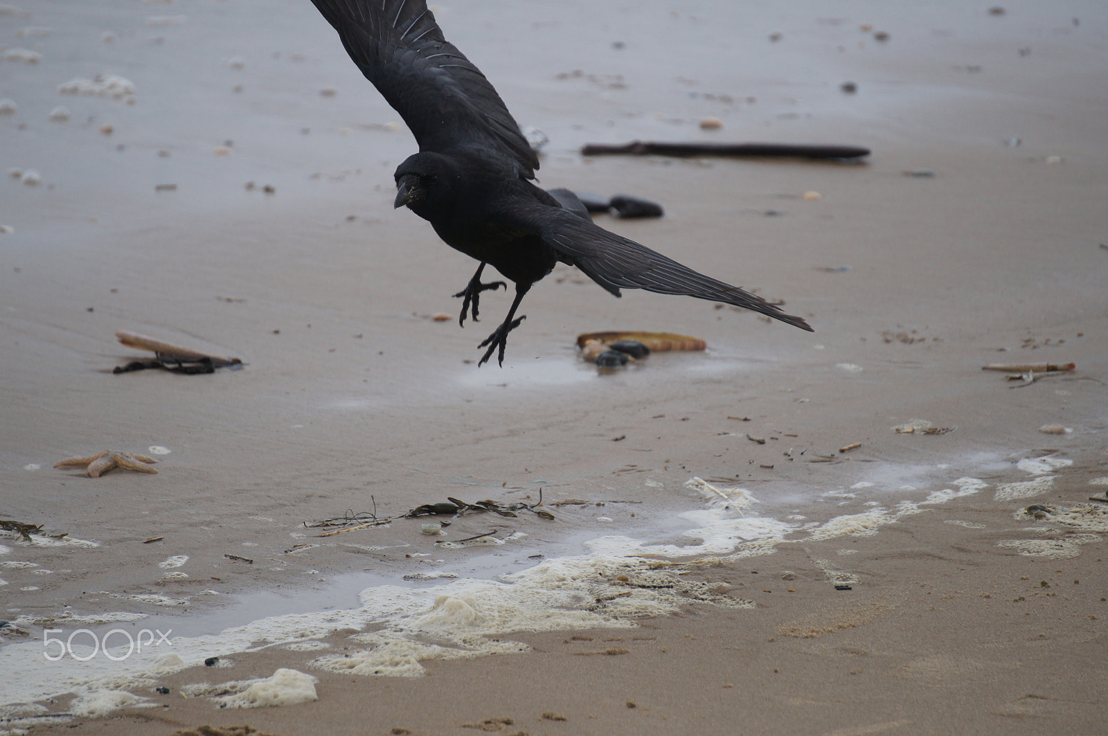 Sony Alpha NEX-C3 sample photo. Landing photography