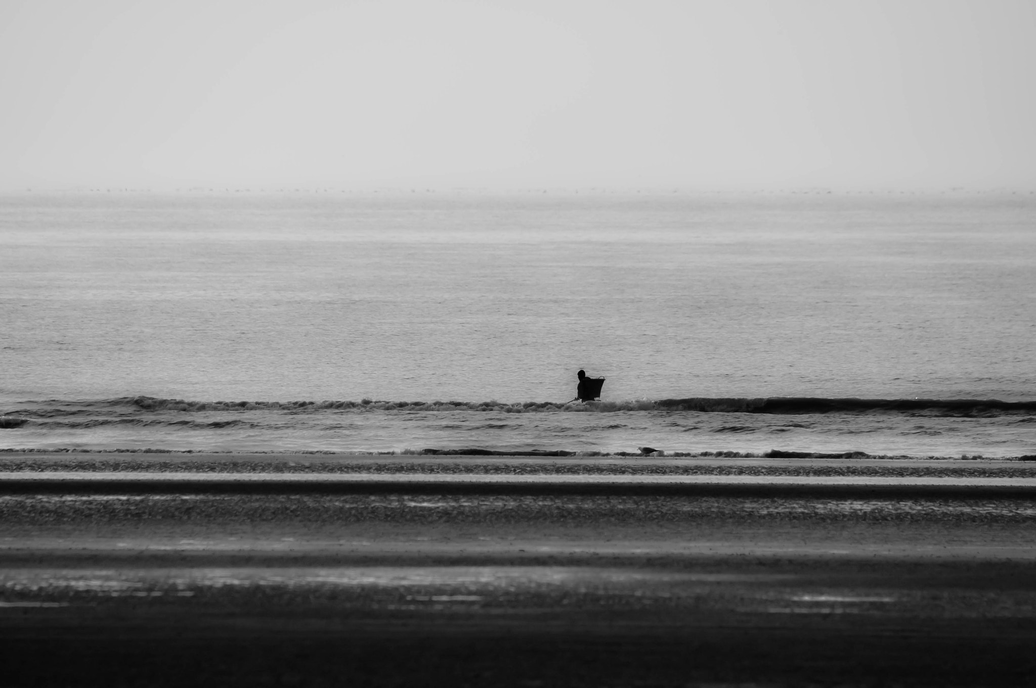 Sigma 50-500mm F4.5-6.3 DG OS HSM sample photo. Shrimp fisher photography
