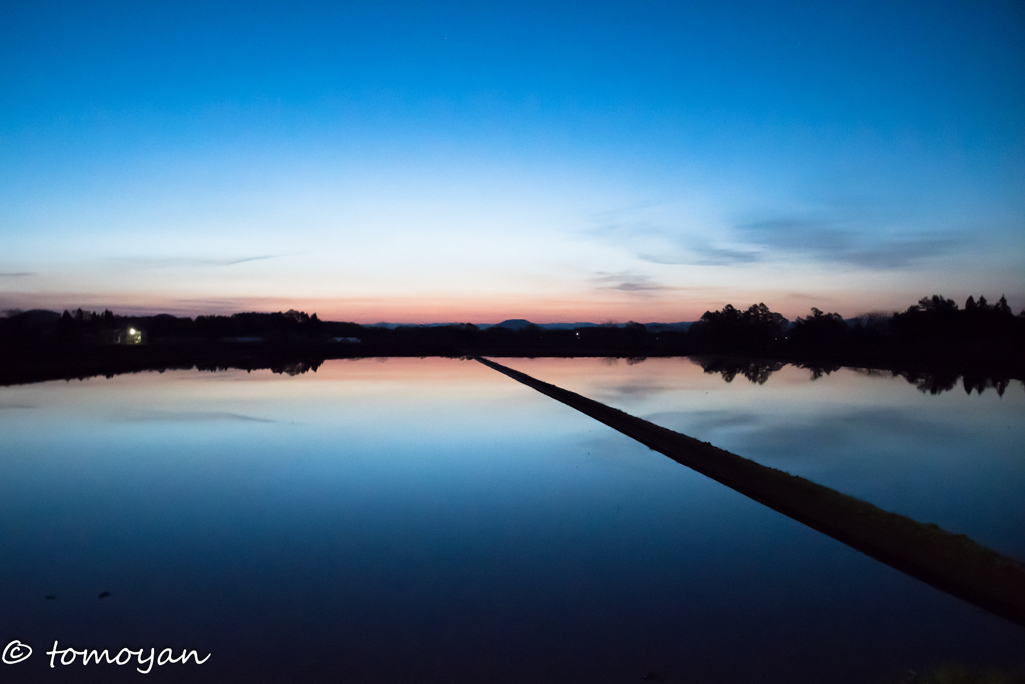 Nikon D500 sample photo. Rice field of the daybreak photography