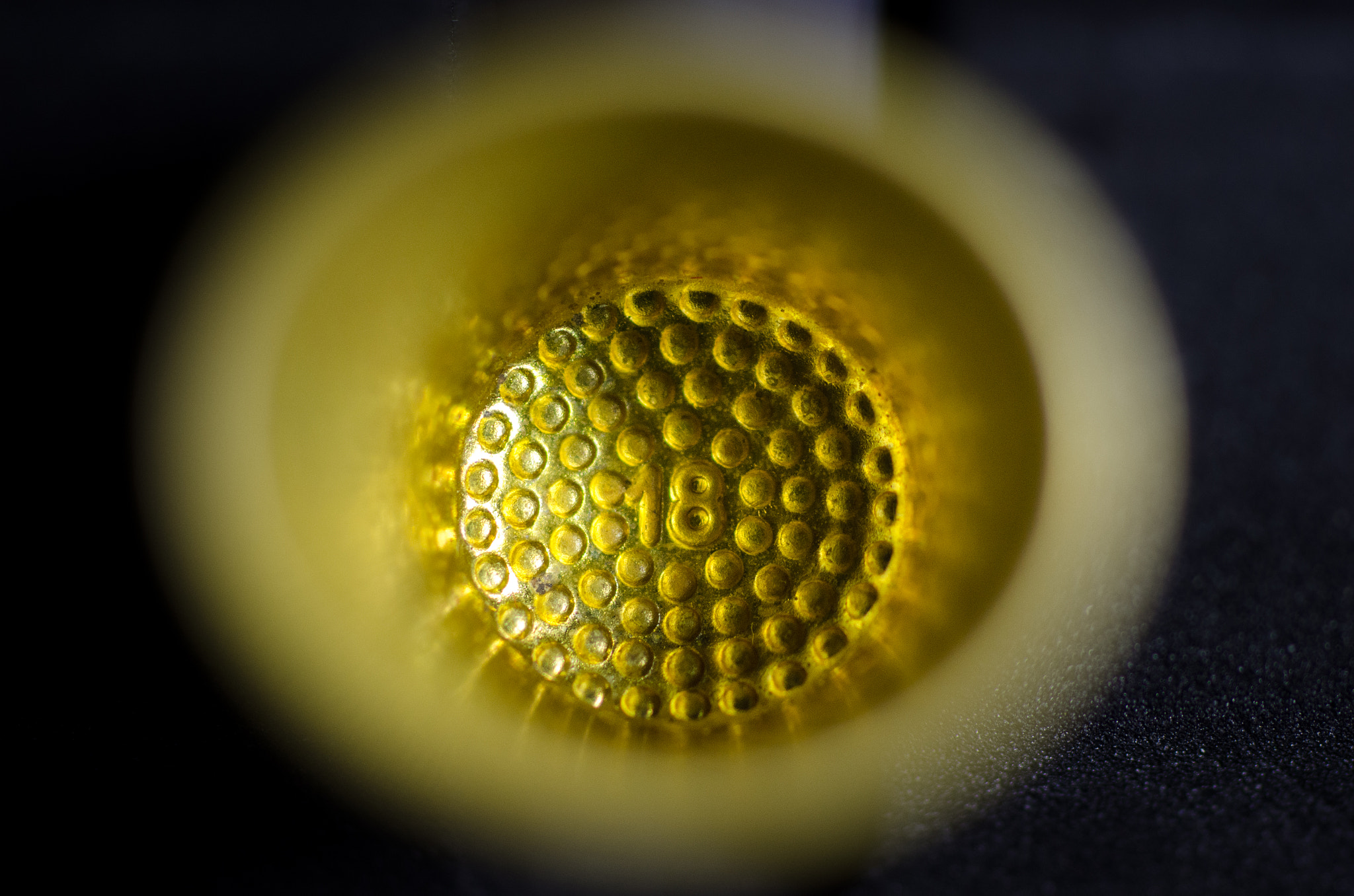 Nikon D7000 + Sigma 50mm F2.8 EX DG Macro sample photo. Gold thimble photography