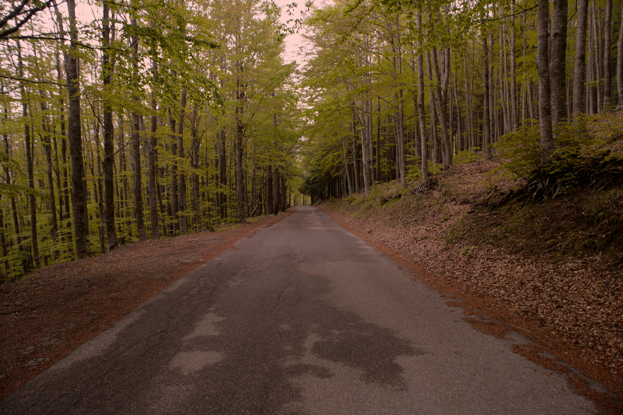 Canon EOS 5D + Sigma 24-70mm F2.8 EX DG Macro sample photo. Mountain road photography