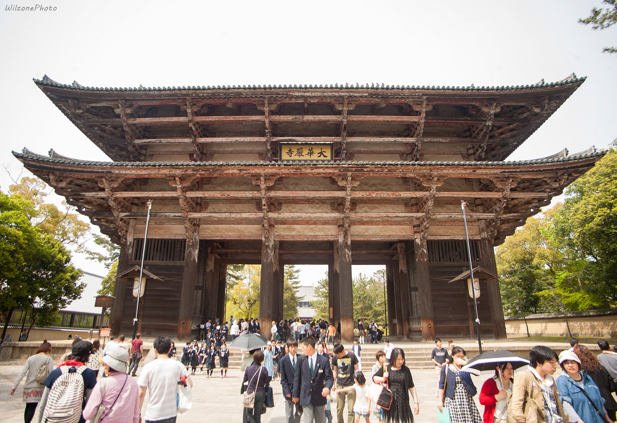 Canon EOS 5D + Tamron AF 19-35mm f/3.5-4.5 sample photo. Nara 124 photography