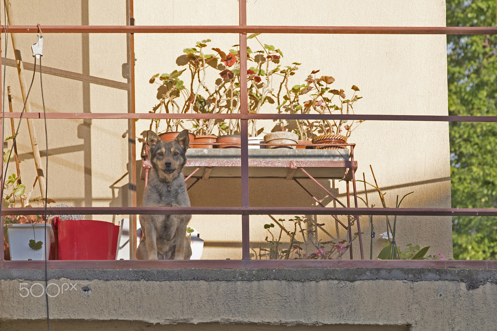 Canon EOS 760D (EOS Rebel T6s / EOS 8000D) sample photo. I see you! photography