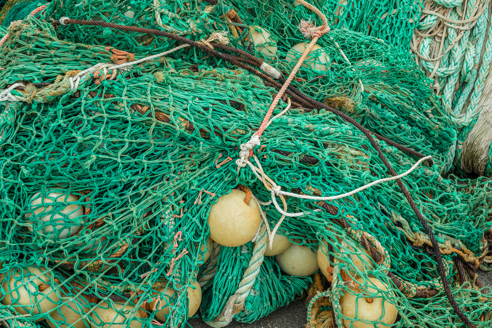 Sony a7R + Sony 50mm F1.4 sample photo. Messy green fishing net photography