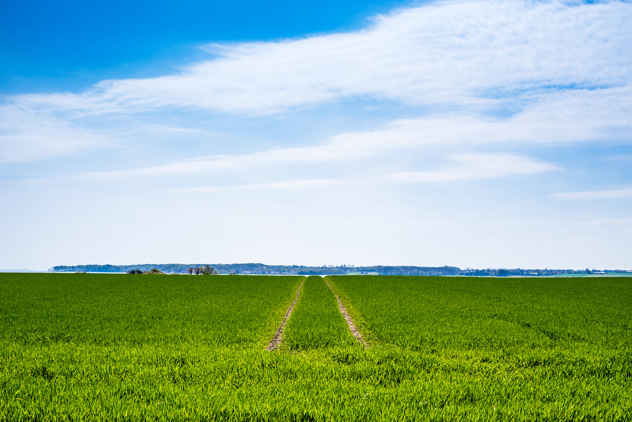 Sony a7R + Sony 50mm F1.4 sample photo. Green field with dry tire tracks photography