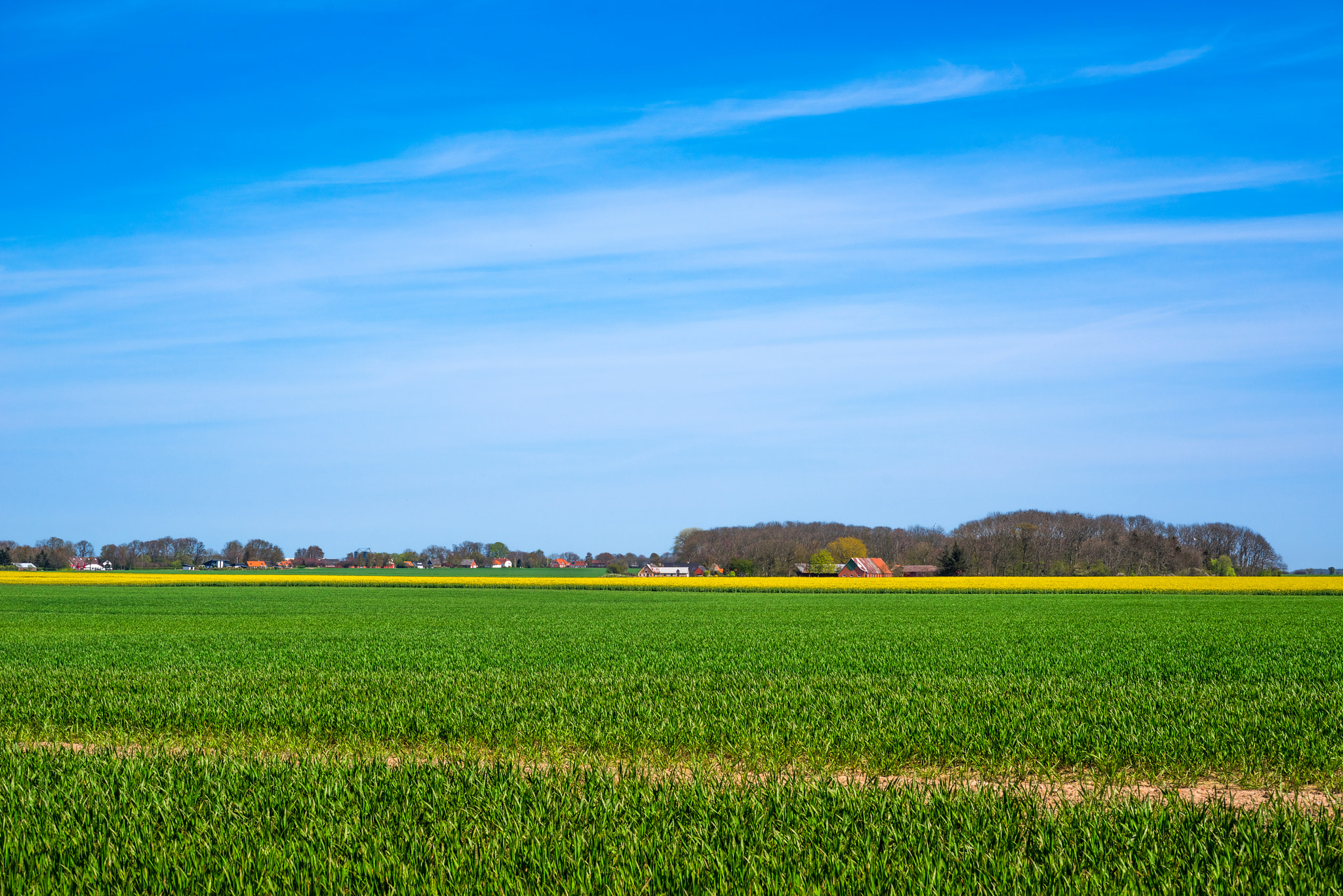 Sony a7R + Sony 50mm F1.4 sample photo. Landscape with green and yellow fields photography