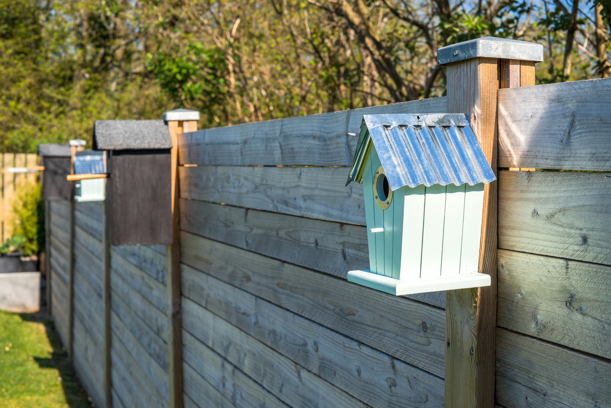 Sony a7R + Sony 50mm F1.4 sample photo. Bird houses on a row at a fence photography