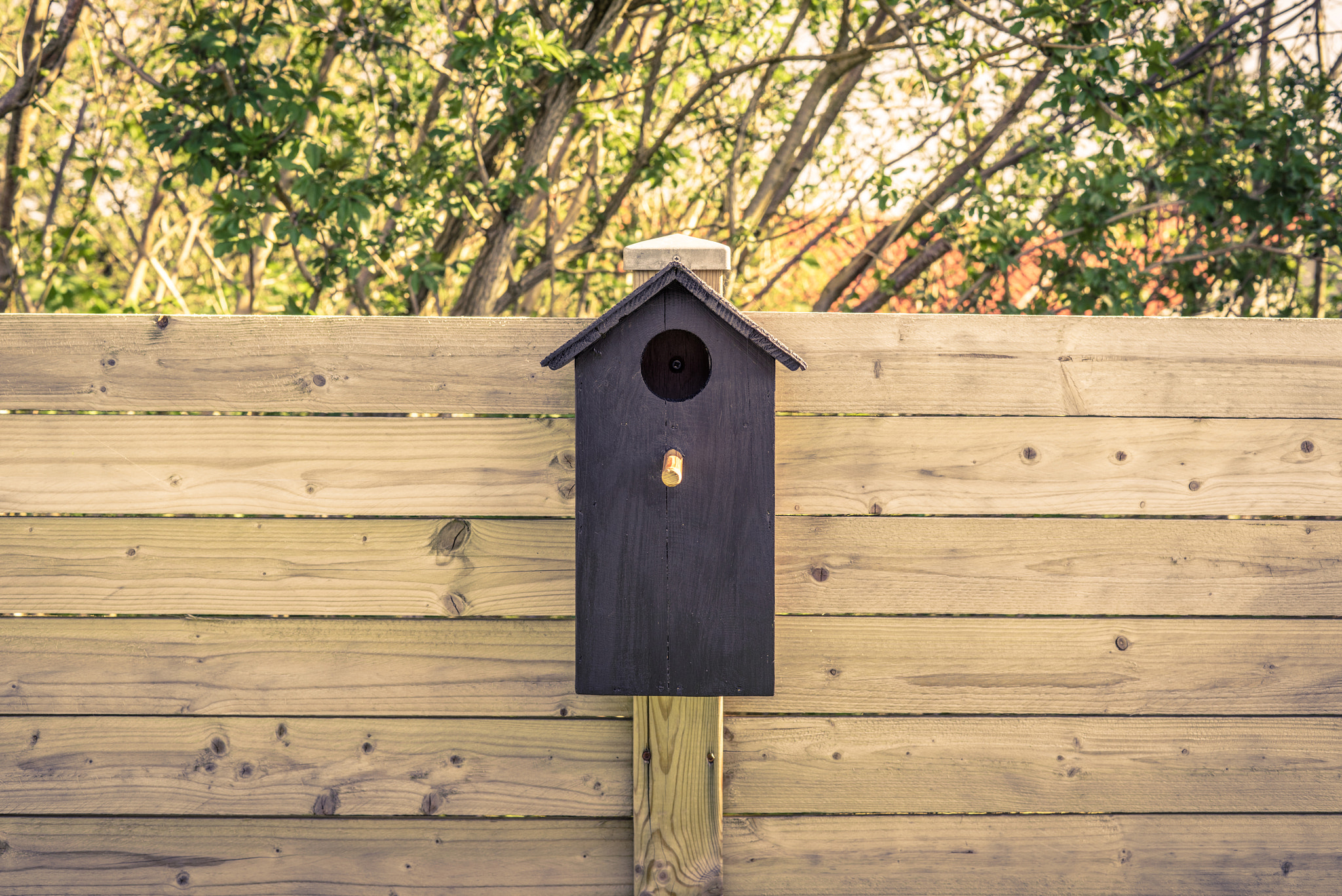 Sony a7R + Sony 50mm F1.4 sample photo. Black bird house on a fence photography