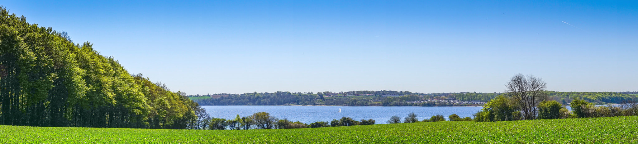 Sony a7R + Minolta AF 50mm F1.4 [New] sample photo. Green fields and trees by the sea photography